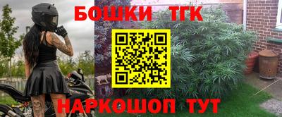 крисы Пенза