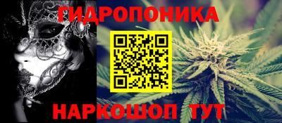 крисы Пенза