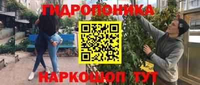 крисы Пенза
