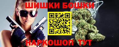 крисы Пенза