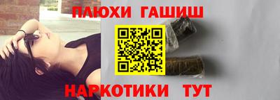 крисы Пенза